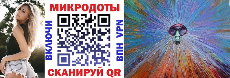 Галлюциногенные грибы Psilocybe  Нея 